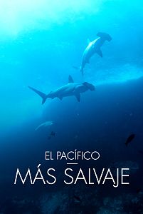 El Pacífico más salvaje