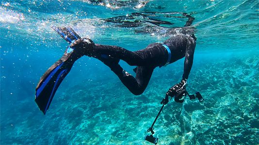 Expedición Mednight. Los puertos de la ciencia