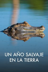 Un año salvaje en la Tierra