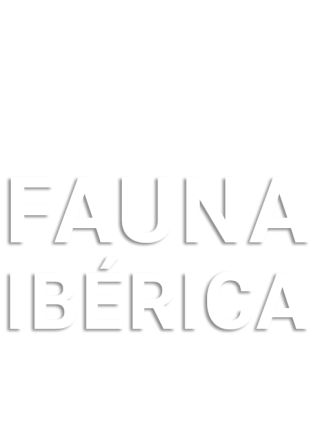 Fauna ibérica