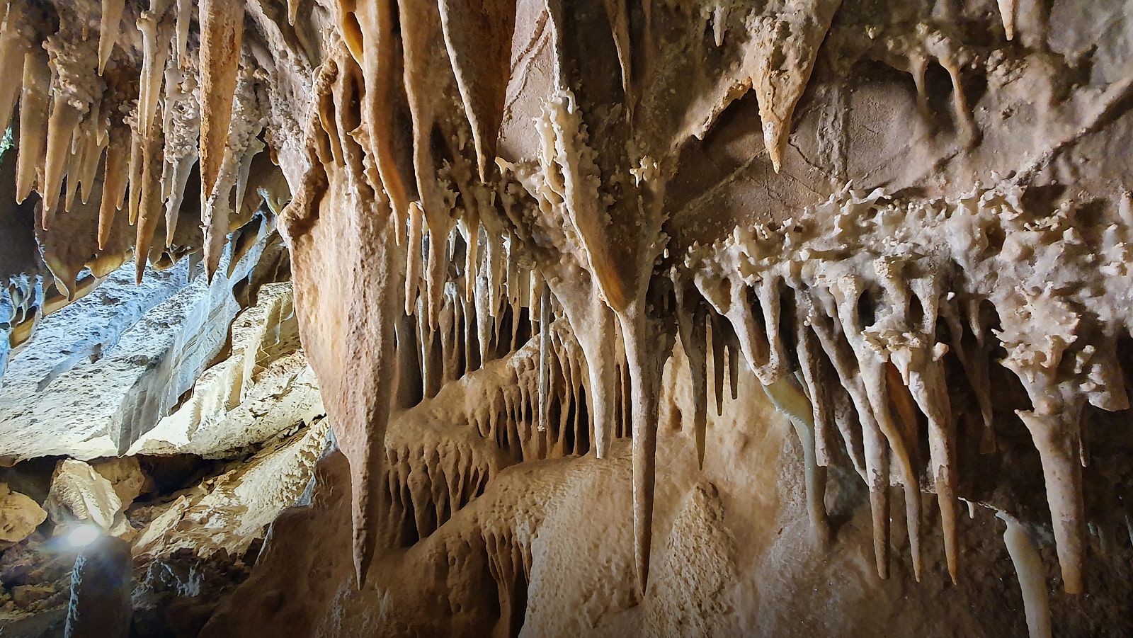 Espacios naturales espectaculares - Episodio 9: Un viaje inolvidable - ver ahora