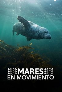 Mares en movimiento