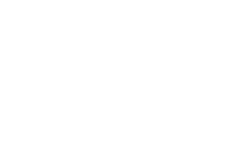Brainrot