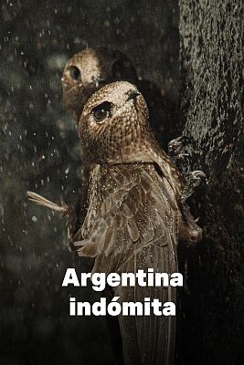 Argentina indómita