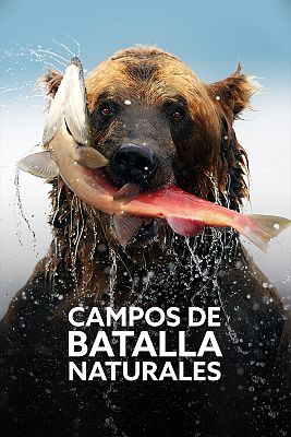 Campos de batalla naturales