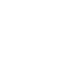 Info 5 Todo Noticias