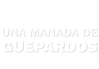 Una manada de guepardos