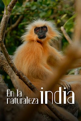 En la naturaleza india