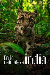 En la naturaleza india