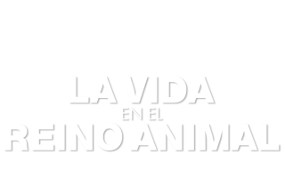 La vida en el reino animal