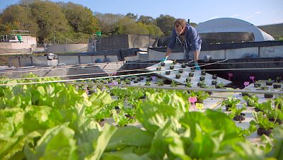 Forjadores del mañana