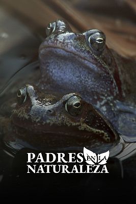 Padres en la naturaleza