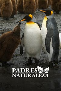 Padres en la naturaleza