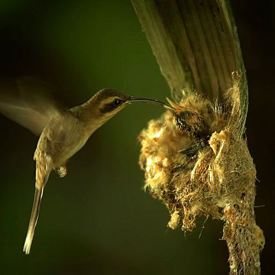 Lugares que visitar antes de morir