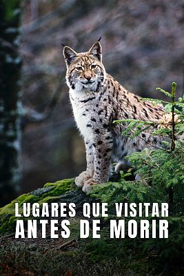 Lugares que visitar antes de morir