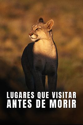 Lugares que visitar antes de morir