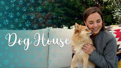 Dog House