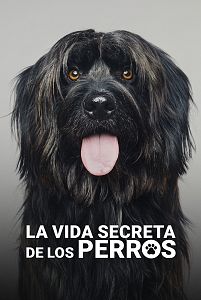 La vida secreta de los perros