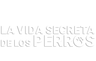 La vida secreta de los perros