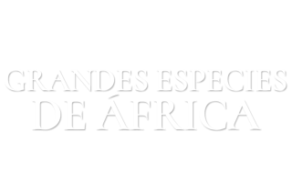 Grandes especies de África