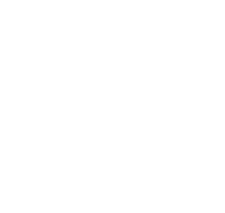 Sopa de gansos