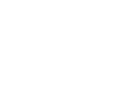 Directo al grano
