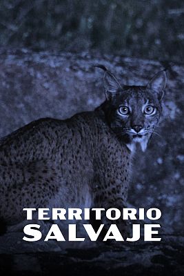 Territorio salvaje