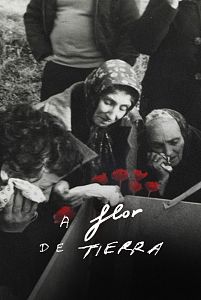 A flor de tierra
