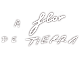 A flor de tierra