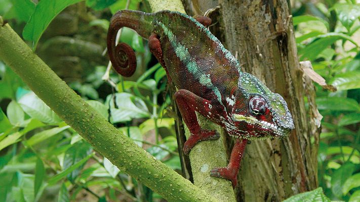 Lugares extraordinarios del mundo