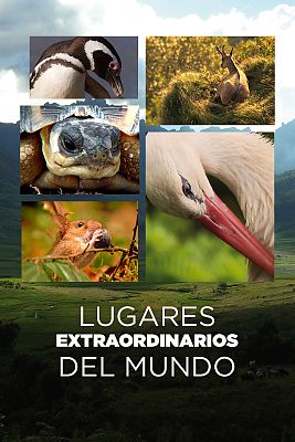 Lugares extraordinarios del mundo