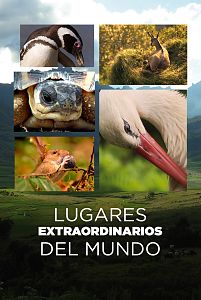 Lugares extraordinarios del mundo