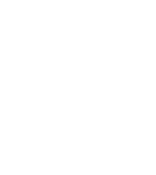 Se hace lo que se puede