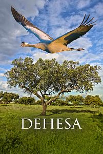 Dehesa