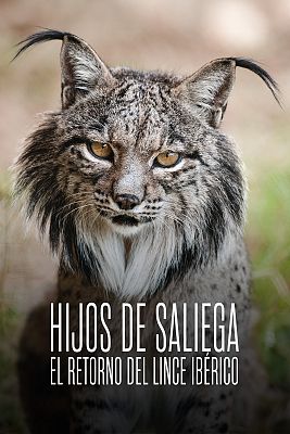 Hijos de Saliega. El retorno del lince ibérico