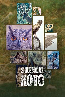 Silencio roto