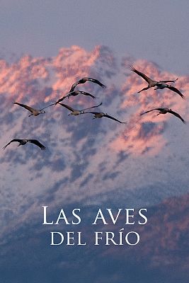 Las aves del frío