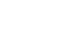 Las aves del frío