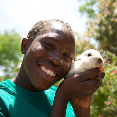 Rescate de animales bebé