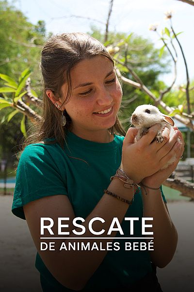 Rescate de animales bebé