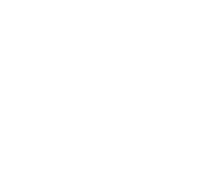 Rescate de animales bebé
