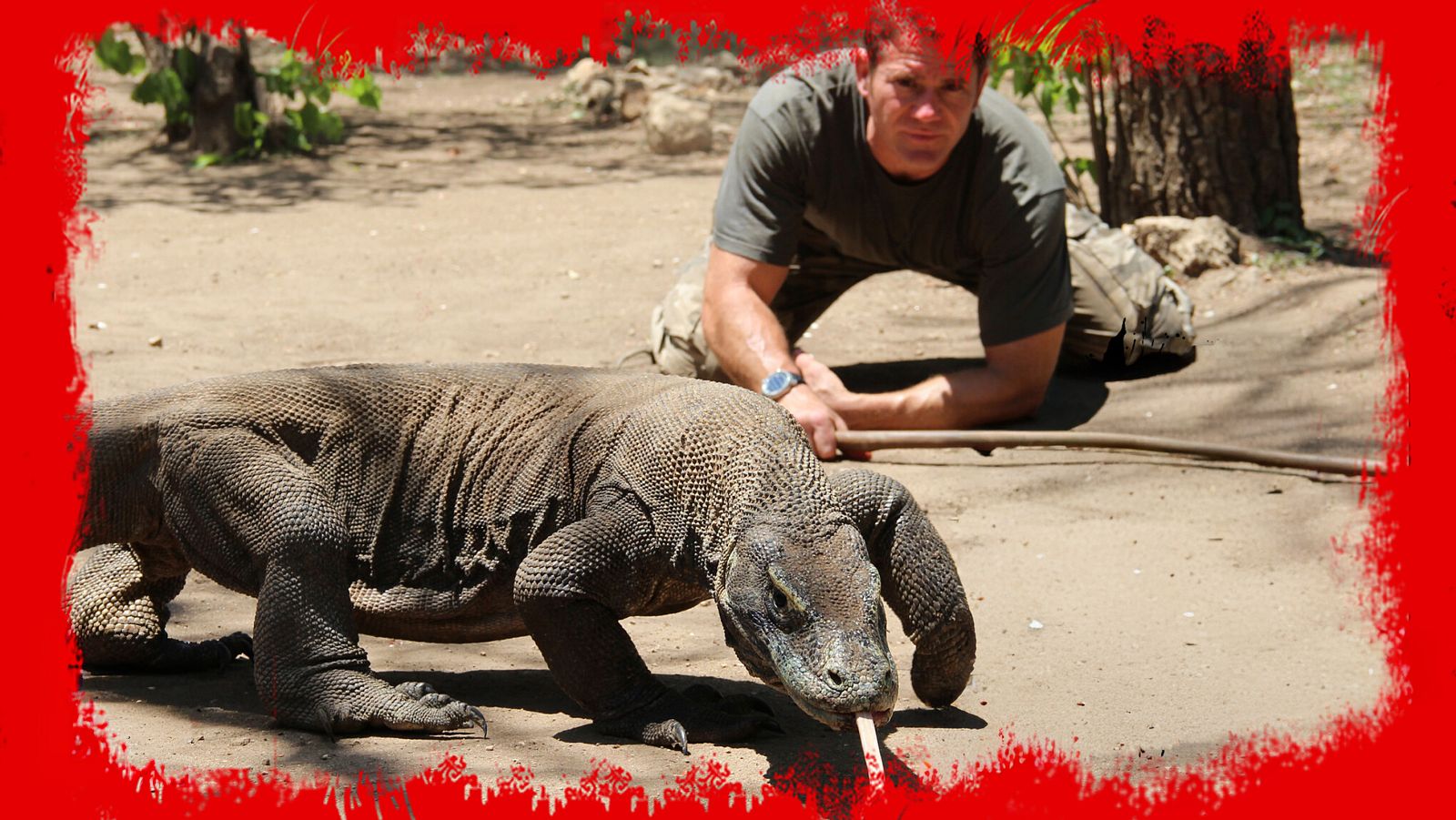 Fauna letal - Episodio 11: Lo nunca visto - Fauna letal | Ver