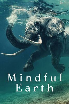 Mindful earth
