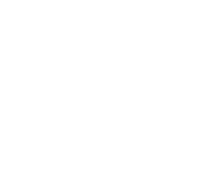 Vida y sainete