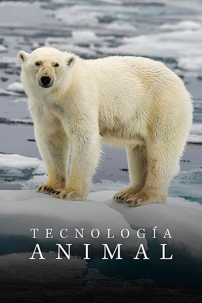 Tecnología animal
