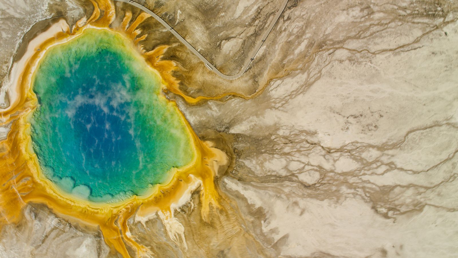 Diarios de Yellowstone - Episodio 1: Verano - Diarios de Yellowstone | Ver
