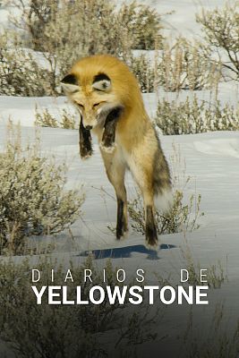 Diarios de Yellowstone