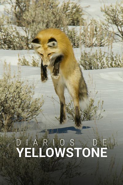Diarios de Yellowstone