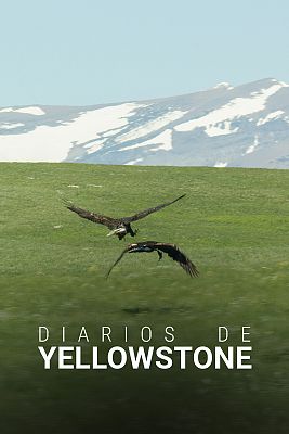 Diarios de Yellowstone