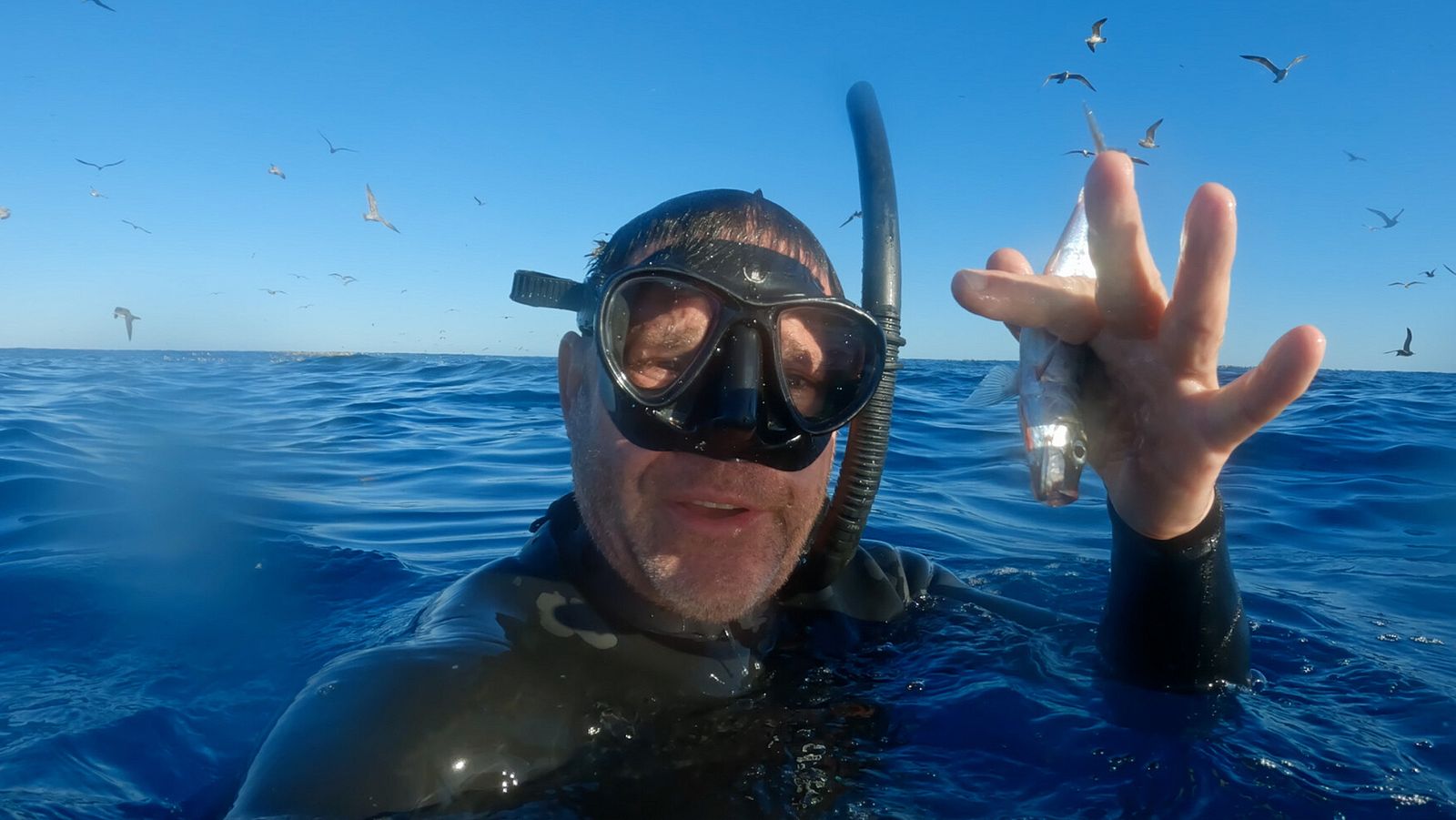 Depredadores letales - Episodio 2: Velocidad - Depredadores letales | Ver